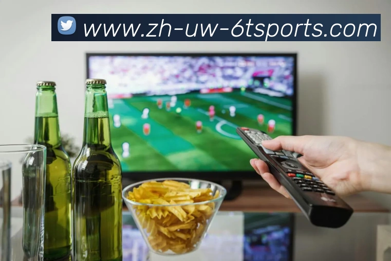 多媒体互动体验